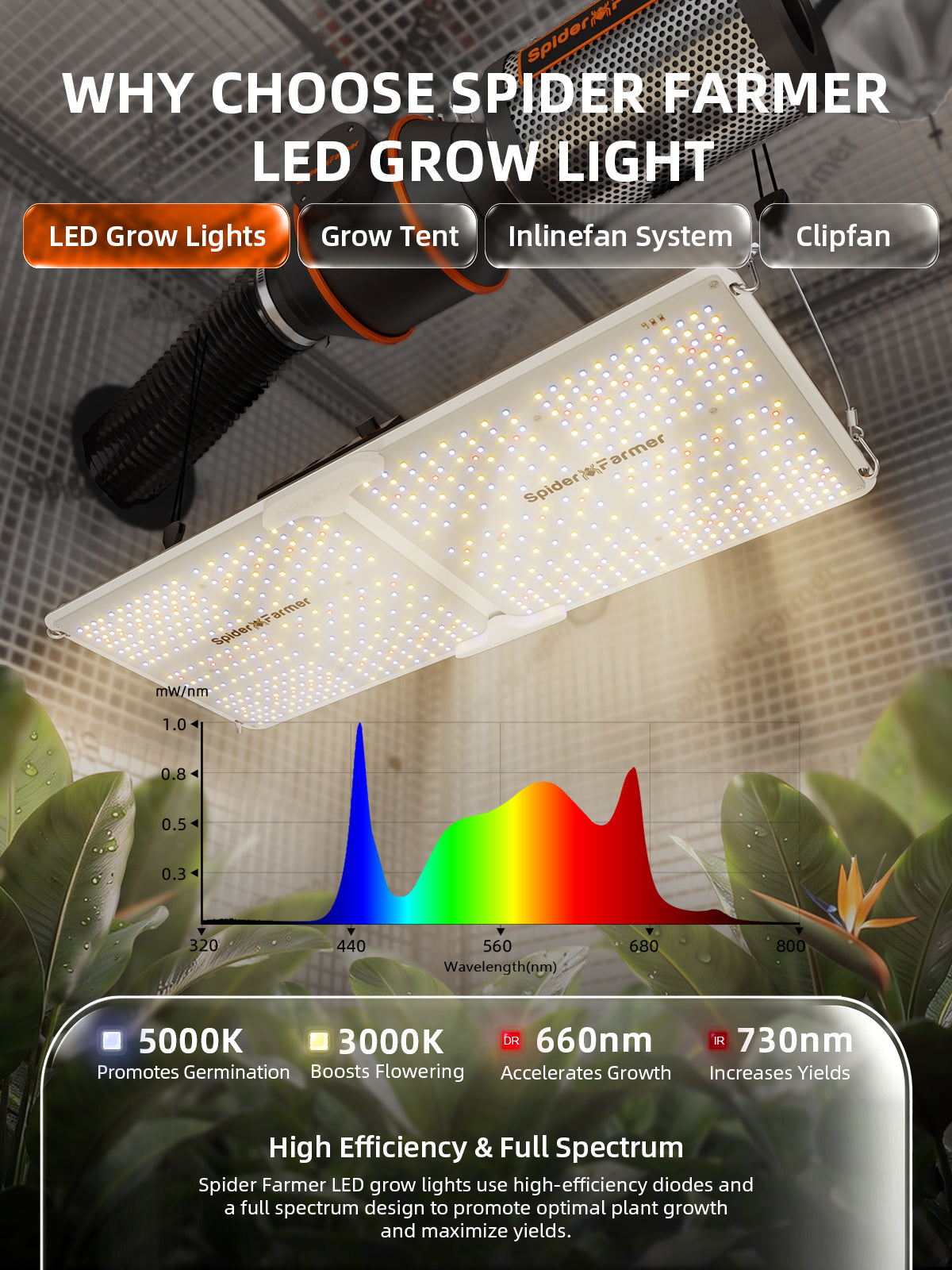 Spider Farmer® 2’x4’ Complete Grow Tent Kit丨SF2000 Full Spectrum LED Grow Light丨6” Clip Fan丨4” Ventilation System with Speed Controller