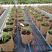 Bottomless Fabric Pot - Green Thumb Depot