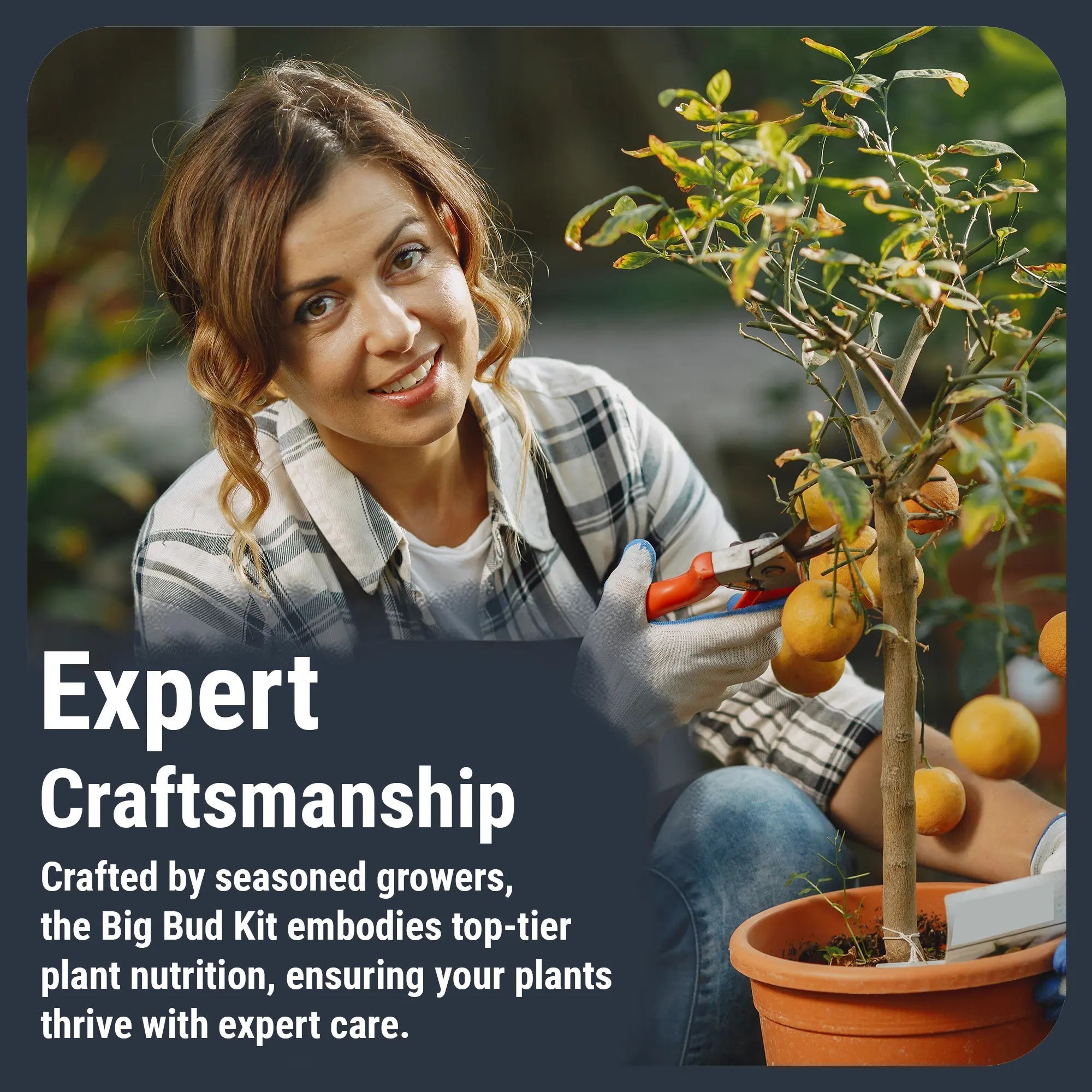 Cronk Nutrients Big Bud Kit Complete Plant Nutrient Solution - Green Thumb Depot