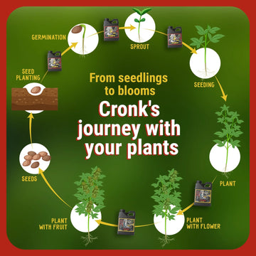 bonnie seeds and plants Cronk Nutrients Bonnie & Clyde AutoFlower Nutrients Base Kit — Green Thumb  Depot
