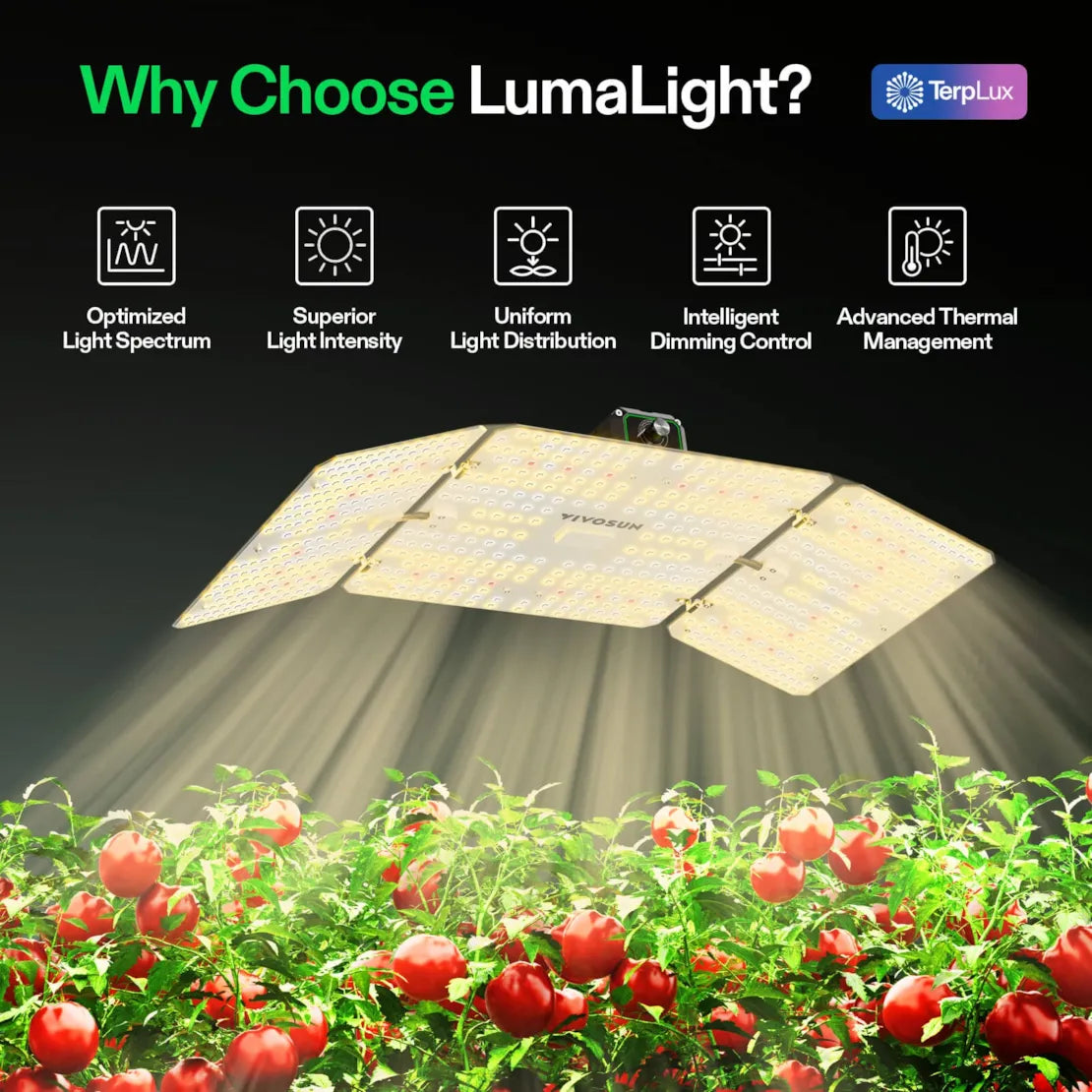 Vivosun LumaLight LED Grow Light, Full Spectrum Plant Light, 200W Smart Dimmable & High PPFD for Indoor Plants Seedling Vegetables Bloom