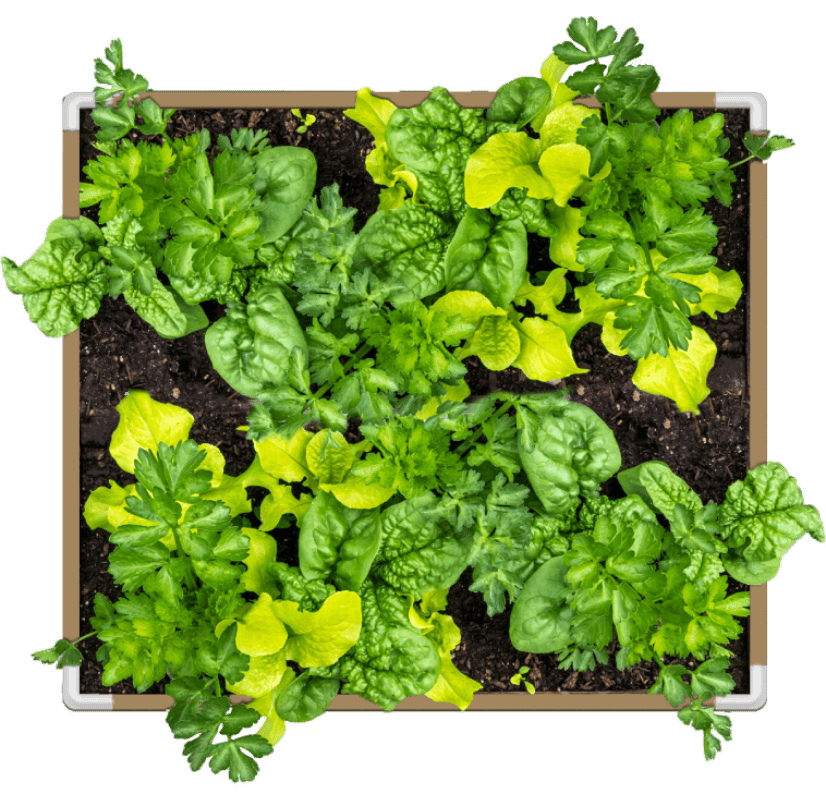 DIY Living Soil Fabric Bed - Green Thumb Depot