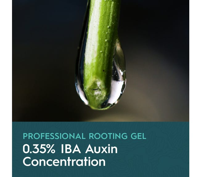 Drip Hydro Dip Cloning Gel - Green Thumb Depot