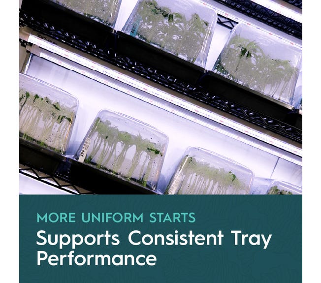 Drip Hydro Dip Cloning Gel - Green Thumb Depot