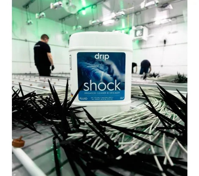 Drip Hydro Shock - Green Thumb Depot