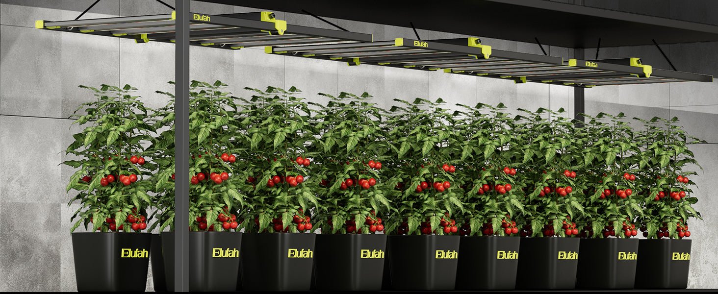 Elufah NHI3200 - 24 320 Watt LED Grow Light 2x4 Commercial - Green Thumb Depot