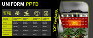 Elufah NHI3200 - 24 320 Watt LED Grow Light 2x4 Commercial - Green Thumb Depot