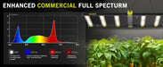 Elufah NHI3200 - 24 320 Watt LED Grow Light 2x4 Commercial - Green Thumb Depot
