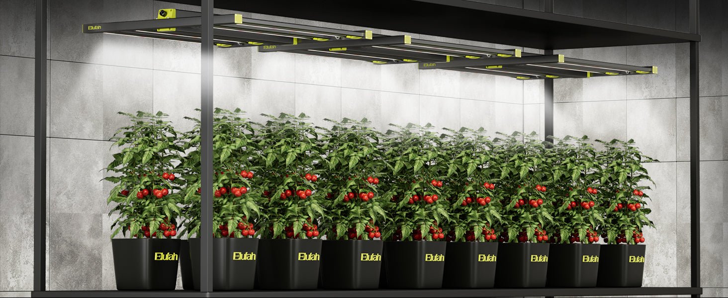 Elufah NHI3200 - 33 320 Watt LED Grow Light 3x3 Commercial Full Spectrum - Green Thumb Depot