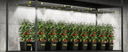 Elufah NHI3200 - 33 320 Watt LED Grow Light 3x3 Commercial Full Spectrum - Green Thumb Depot