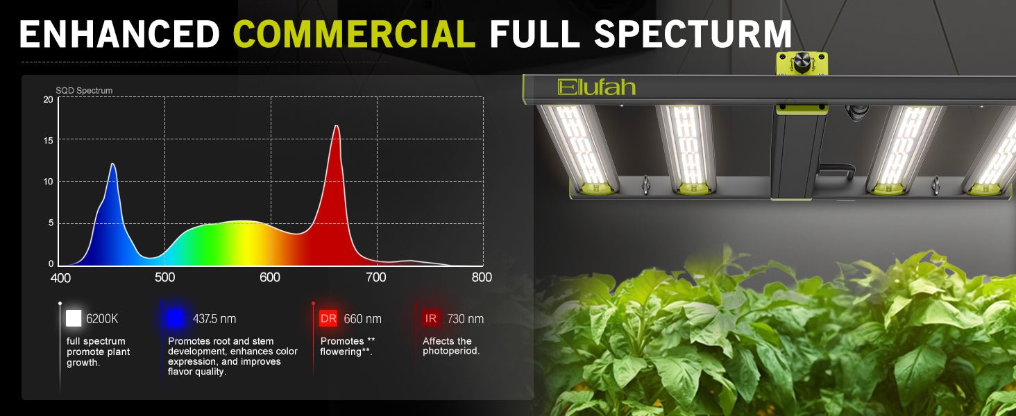 Elufah NHI3200 - 33 320 Watt LED Grow Light 3x3 Commercial Full Spectrum - Green Thumb Depot