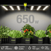 Elufah NHI6500 650 Watt LED Grow Light 4x4 Commercial - Green Thumb Depot