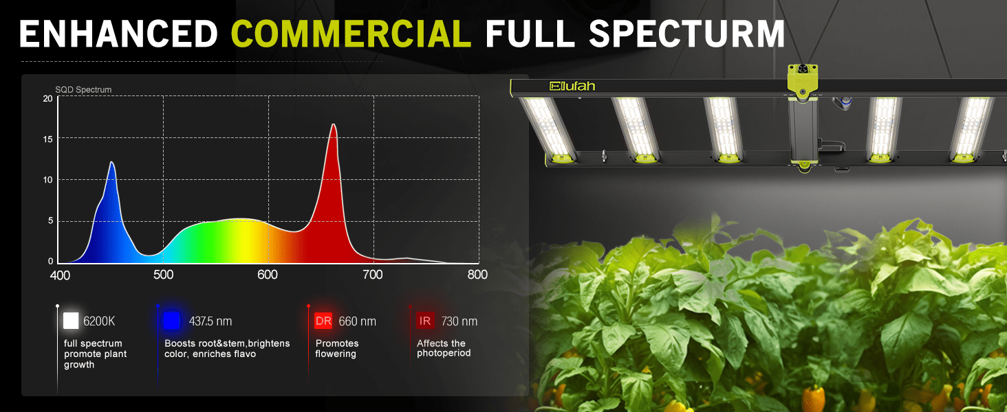 Elufah NHI6500 650 Watt LED Grow Light 4x4 Commercial - Green Thumb Depot
