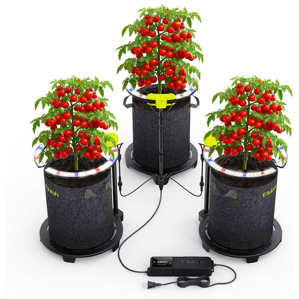 Elufah Saturn720 72 Watt Under Canopy LED Grow Light | 3 Ring Lights - Green Thumb Depot