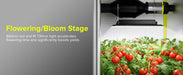 Elufah UAP1500 150 Watt LED Grow Light 2x2 3x3 ft - Green Thumb Depot