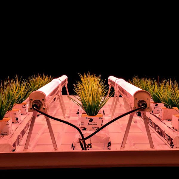 Faven 120 Watt Under Canopy LED Grow Light, 46" Dimmable (R6 or R8 Spectrum) - Green Thumb Depot