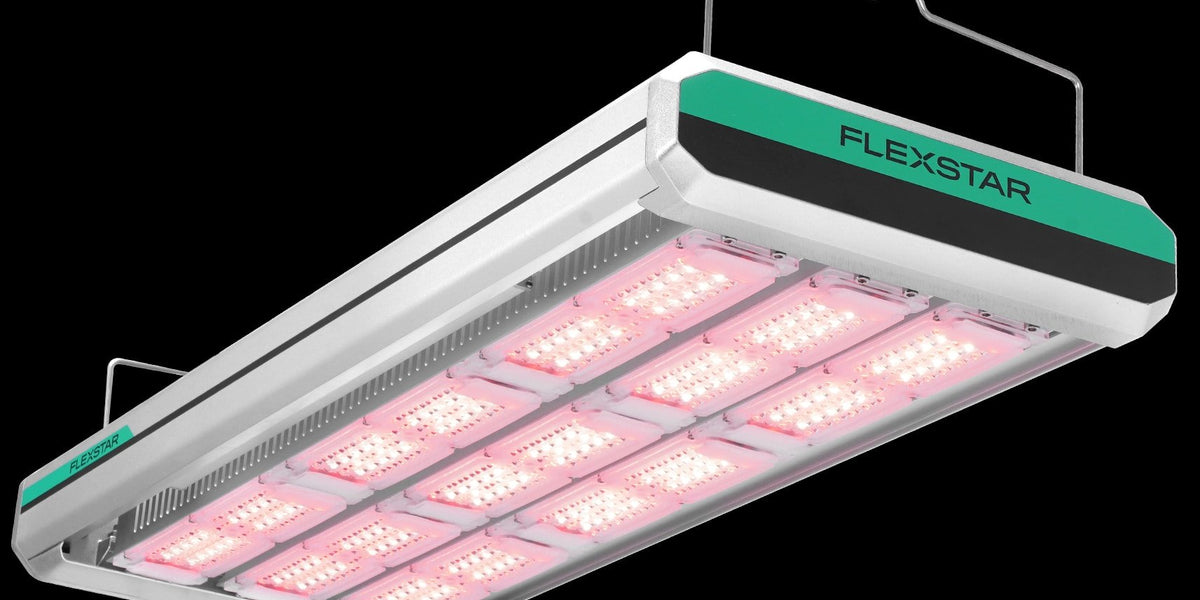 スターランプ FlexStar 1200 Watt NOVA Toplight LED Grow Light — Green Thumb Depot