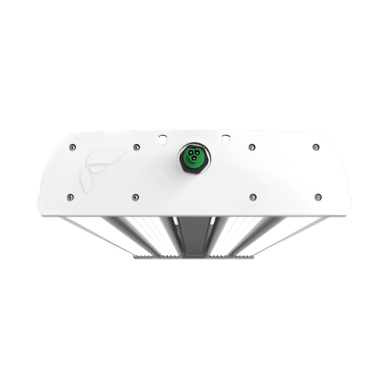 Fluence RAPTR 39.6" 1,020W LED Grow Light – PhysioSpec™ BROAD R4 Indoor Spectrum - Green Thumb Depot