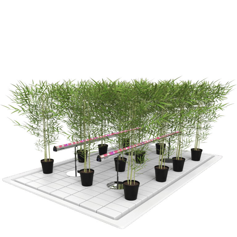 GrowPros Solutions - Under Canopy Light 80% Deep Red Spectrum - Green Thumb Depot