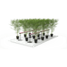 GrowPros Solutions - Under Canopy Light 80% Deep Red Spectrum - Green Thumb Depot