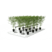 GrowPros Solutions - Under Canopy Light Full Spectrum + Far Red - Green Thumb Depot