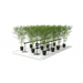 GrowPros Solutions - Under Canopy Light Full Spectrum + Far Red - Green Thumb Depot