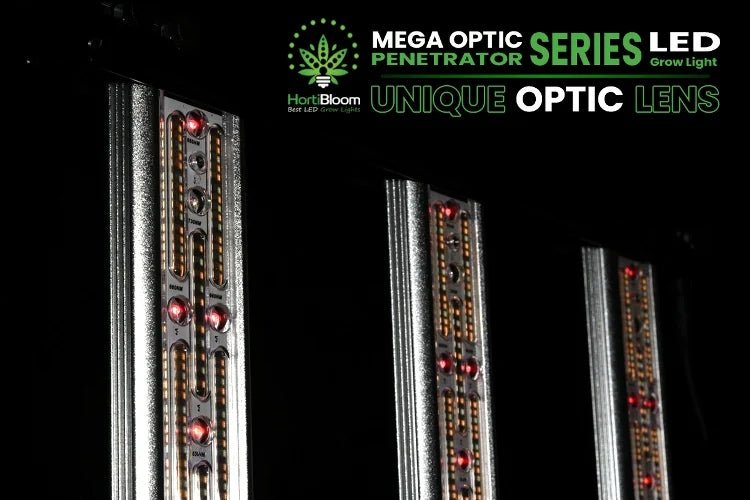 HortiBloom Mega Optic 600W LED Grow Light - Green Thumb Depot