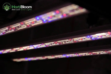 HortiBloom Mega Optic 720 Watt LED Grow Light — Green Thumb Depot