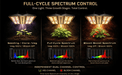 Hortibloom Phovivis OptiGrow X240 220W Full Spectrum LED Grow Light - Green Thumb Depot