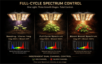 Phovivis OptiGrow X480 440W Full Spectrum LED Grow Light by