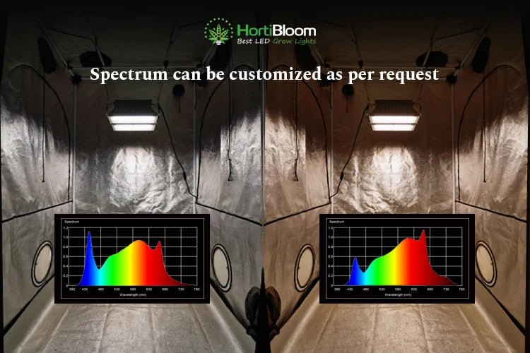 HortiBloom Solux 650W LED Grow Light - Green Thumb Depot