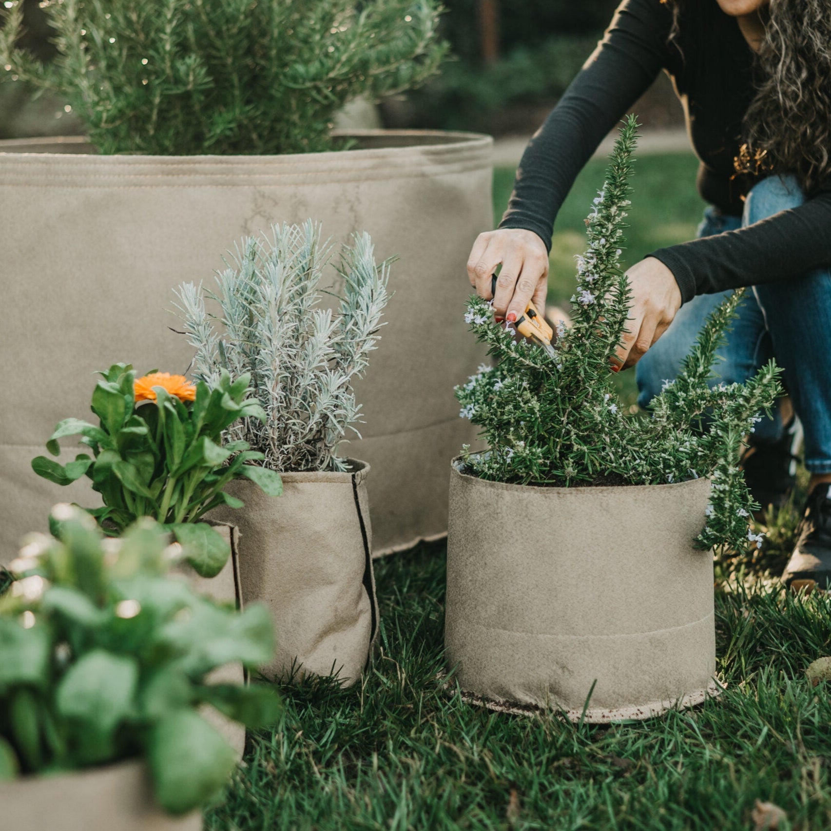 Living Soil Fabric Pot - Green Thumb Depot
