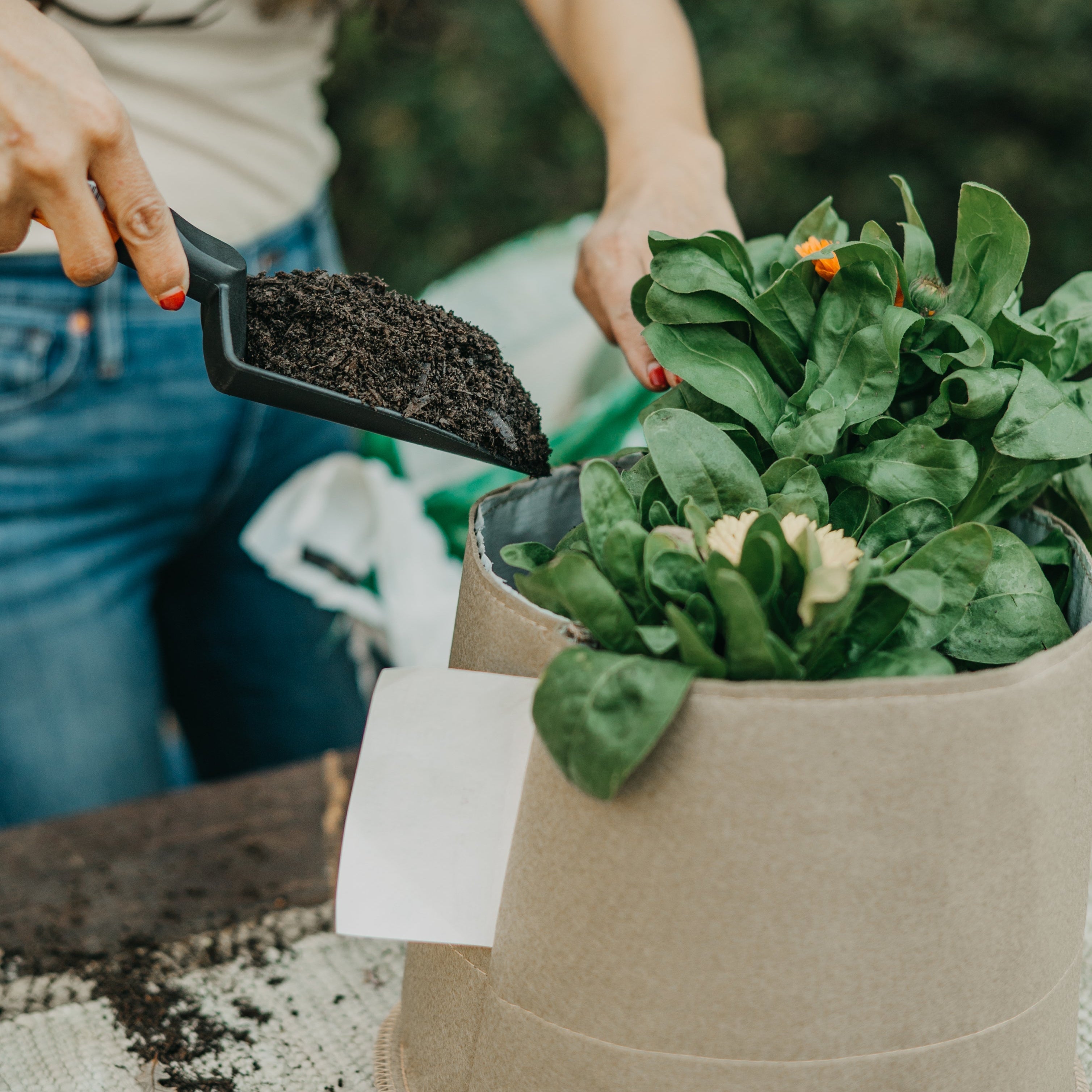 Living Soil Fabric Pot - Green Thumb Depot