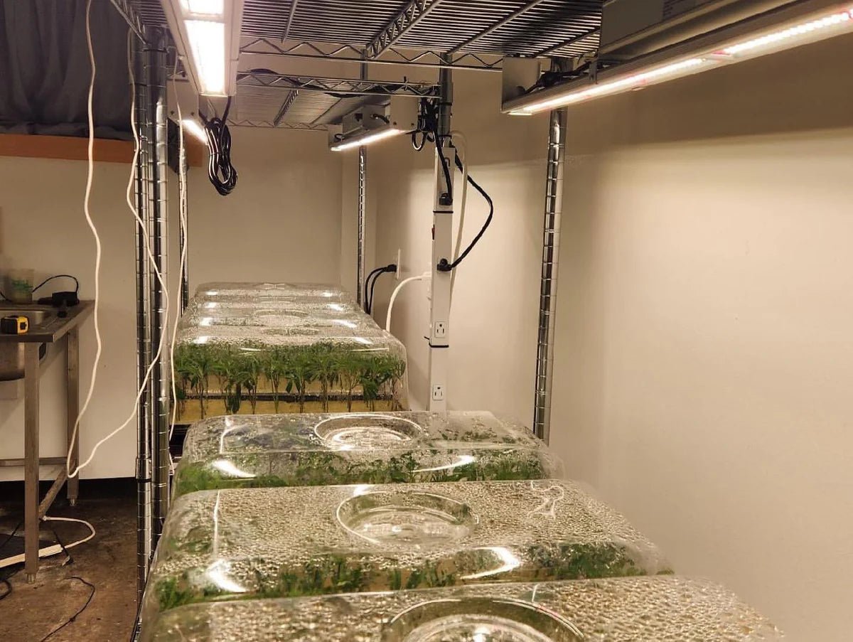 Mammoth Lighting 100W Multi - Use Grow Bar – Cloning, Veg, Side Lighting & Tent - Ready - Green Thumb Depot