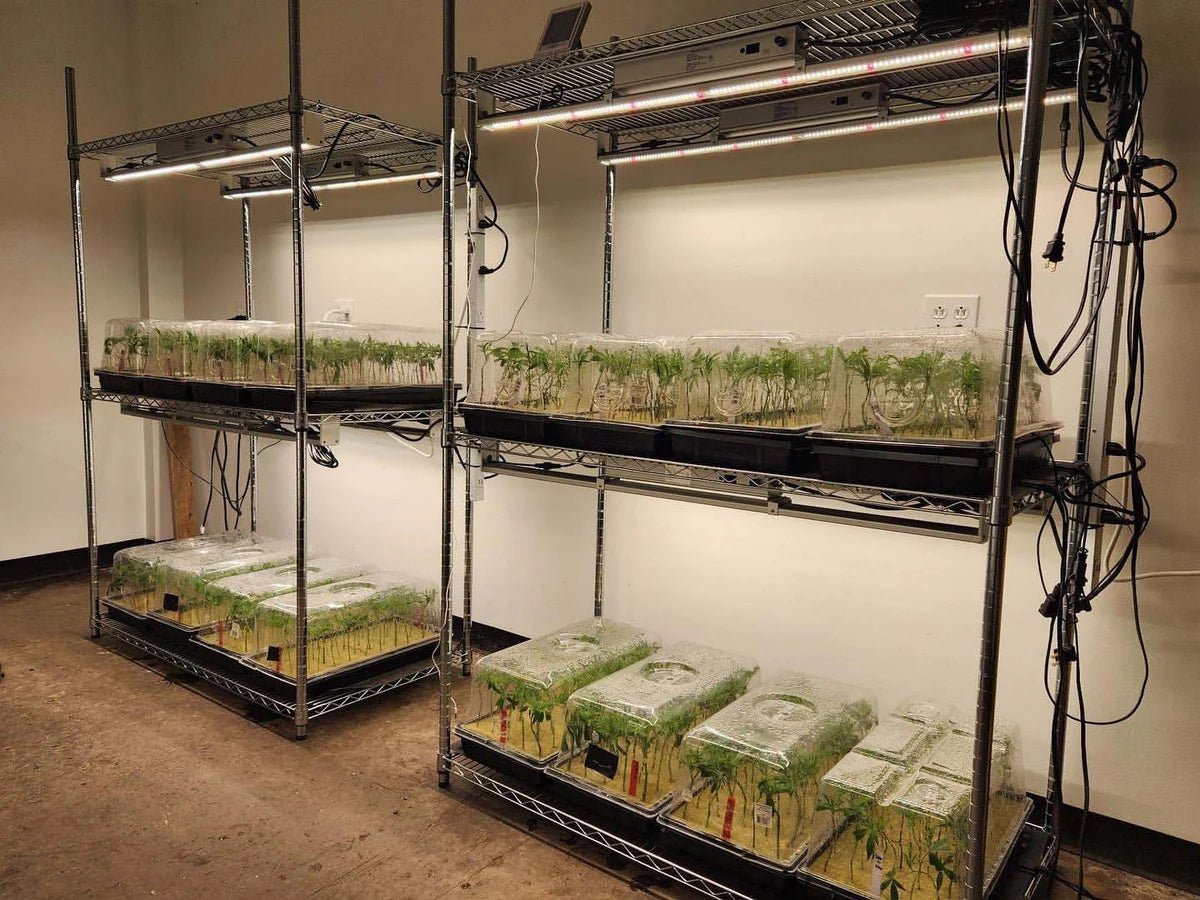 Mammoth Lighting 100W Multi - Use Grow Bar – Cloning, Veg, Side Lighting & Tent - Ready - Green Thumb Depot