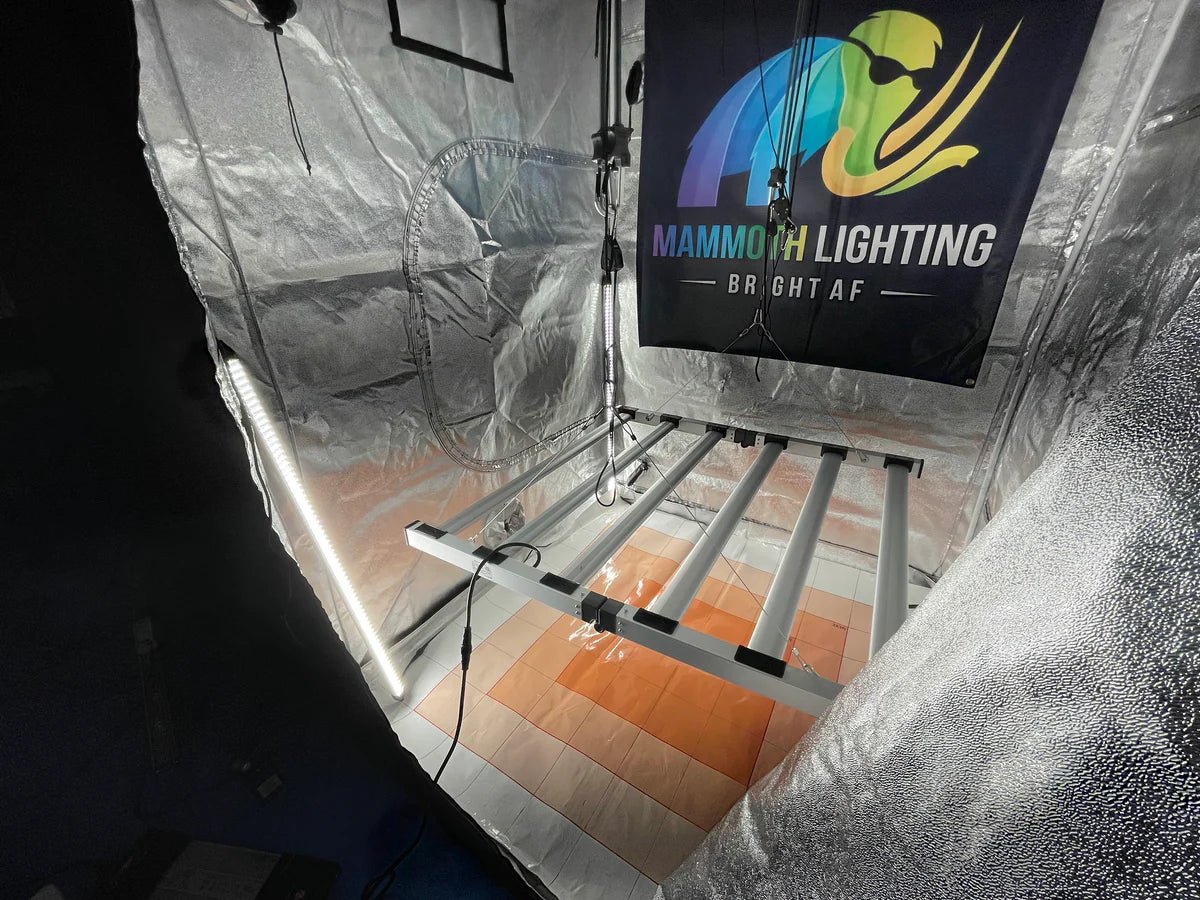Mammoth Lighting Clone and Inter - canopy LED grow light bar (2 bars per box), 50w each - Green Thumb Depot