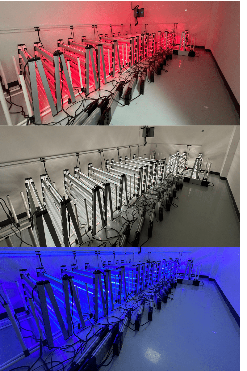 Mammoth Lighting Nova Sun Series UV Upgrade Kit – 2 UV Bars with 100W Driver (UVA + UVB) - Green Thumb Depot