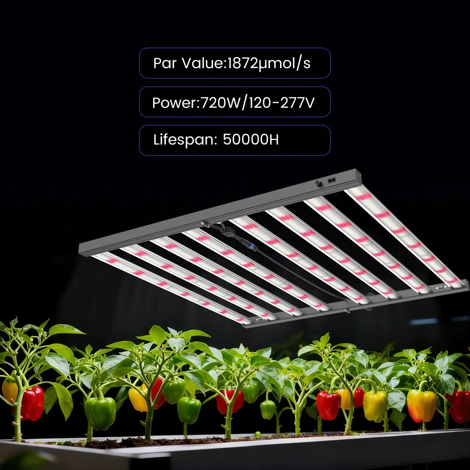 Medic Grow MEDIC BOX 07 720w 4x4 Grow Light Dimmable Full - Spectrum LED - Green Thumb Depot
