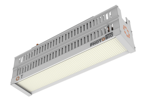 Phantom PHOTOBIO T 330 Watt 100-277V S4