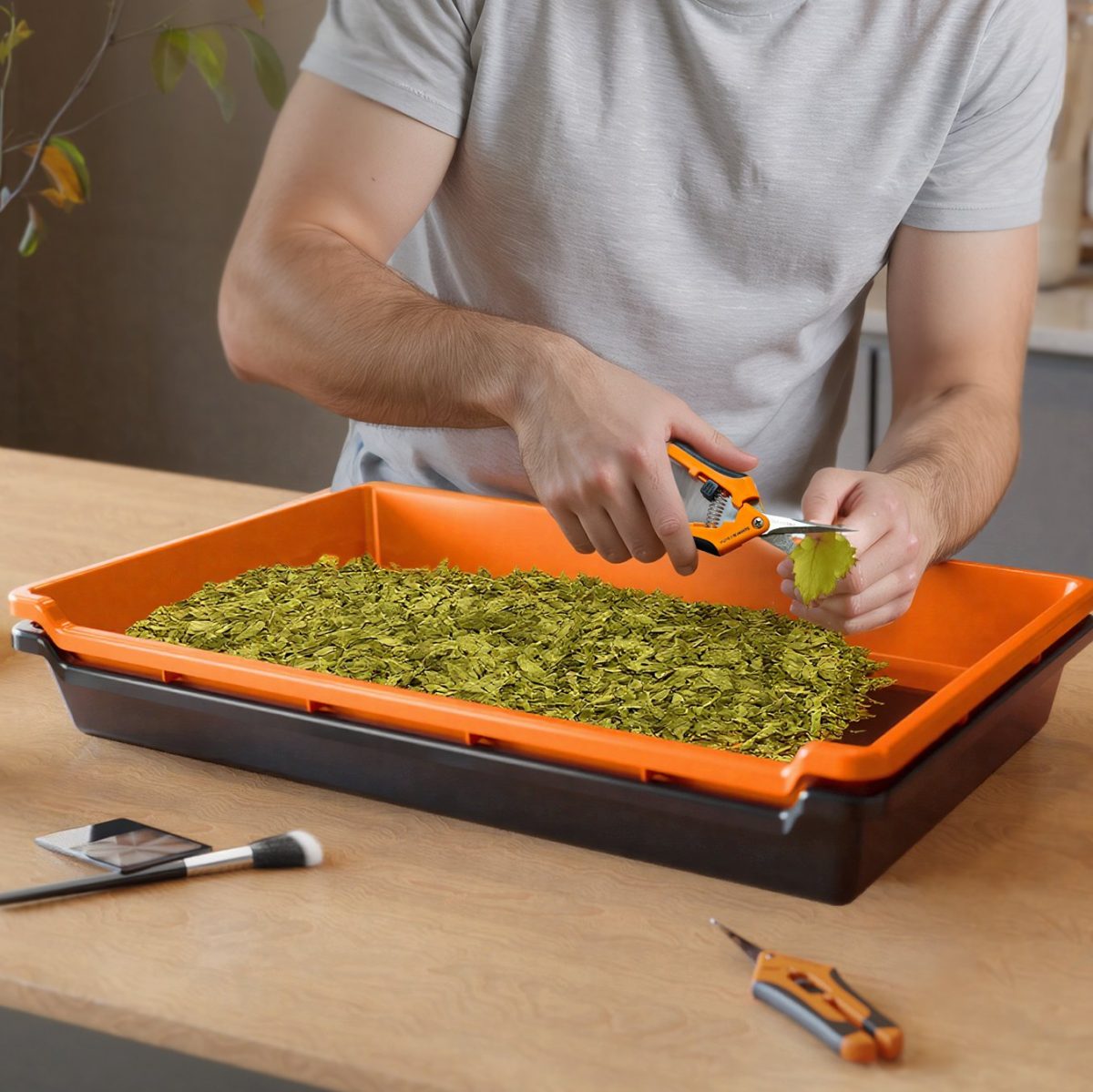 Spider Farmer 2 - In - 1 Trim Tray 150 Micron 100 Mesh Screen for Pollen & Herb | 2 Pruning Shears | Card Magnifier | Grow Harvest Accessories | Use - Friendly Ergonomic Design - Green Thumb Depot