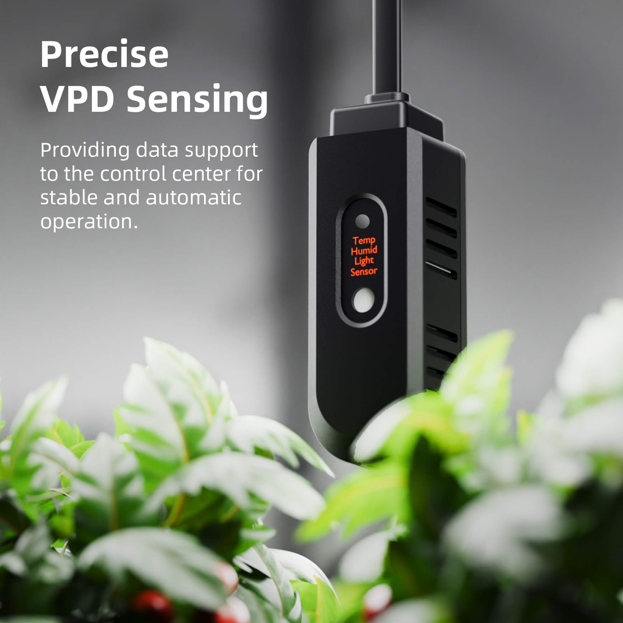 Spider Farmer 2’x4’ Complete Grow Tent Kit丨SF2000 301H EVO Full Spectrum LED Grow Light丨6” Clip Fan丨4” Ventilation System with GGS Controller - Green Thumb Depot