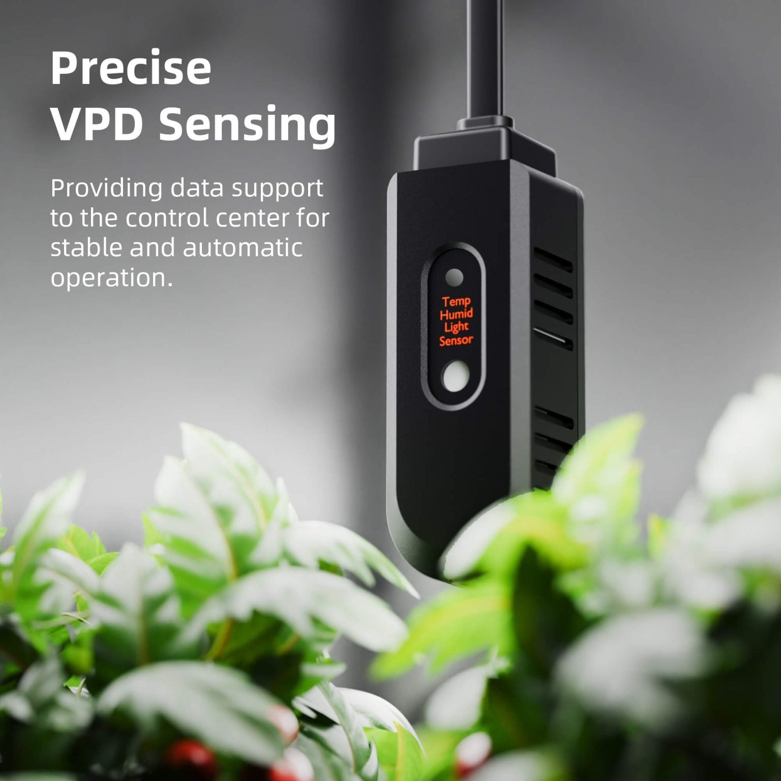 Spider Farmer 3×3′ Complete Grow Tent Kit丨G3000 WiFi & Bluetooth App - Controlled LED Grow Light丨6” Clip Fan丨4” Ventilation System with GGS Controller - Green Thumb Depot