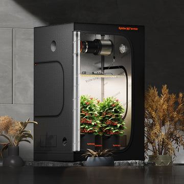 60cm grow tent Spider Farmer 2' x 4' x 5' (60 x 120 x 150 cm) Indoor Größe:54-584 Kawai F301 Pedal Unit Category:Rennrad_Cannondale 3  6061 Alloy  31.8  7° put filter straps
