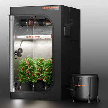 automatic plant drip watering system Spider Farmer Automatic Drip Irrigation System w/ Water Pump & 8 Drip