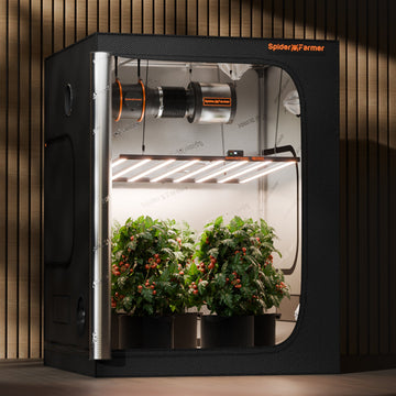 commercial grow tent Spider Farmer G1000W WiFi & Bluetooth App-Controlled Dimmable Cost eff —  Green Thumb Depot