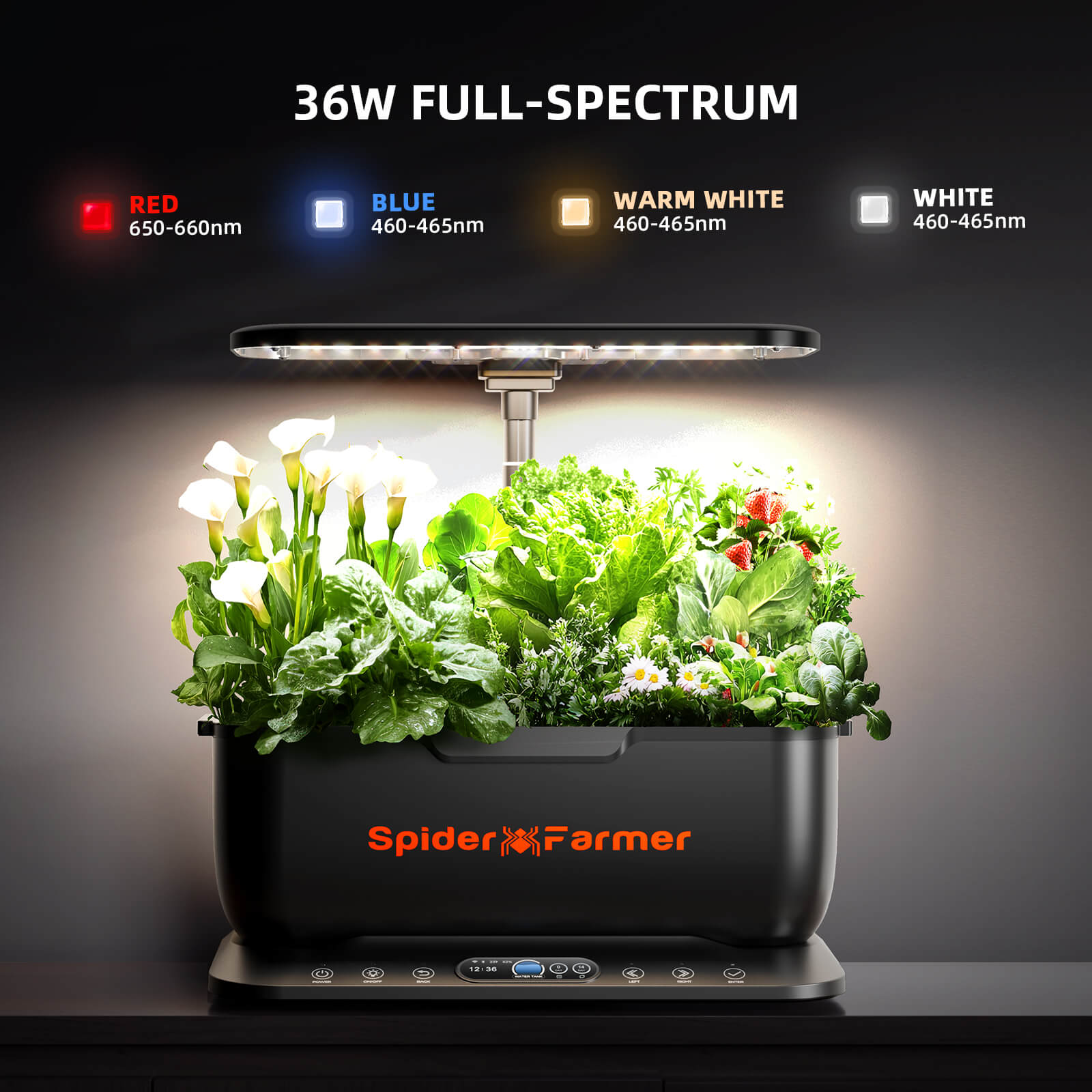 Spider Farmer SmartG12 Hydroponic Gardening System Kit, APP & Wifi Controlled, 36W LED Grow Light, 12 Pods Indoor Herb Garden, 6L Water Tank - Green Thumb Depot