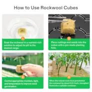 Vivosun 1" Rockwool Grow Cubes, 4 Sheets of 200 Plugs - Green Thumb Depot