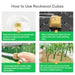 Vivosun 1" Rockwool Grow Cubes, 4 Sheets of 200 Plugs - Green Thumb Depot