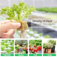 Vivosun 1" Rockwool Grow Cubes, 4 Sheets of 200 Plugs - Green Thumb Depot