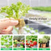 Vivosun 1" Rockwool Grow Cubes, 4 Sheets of 200 Plugs - Green Thumb Depot